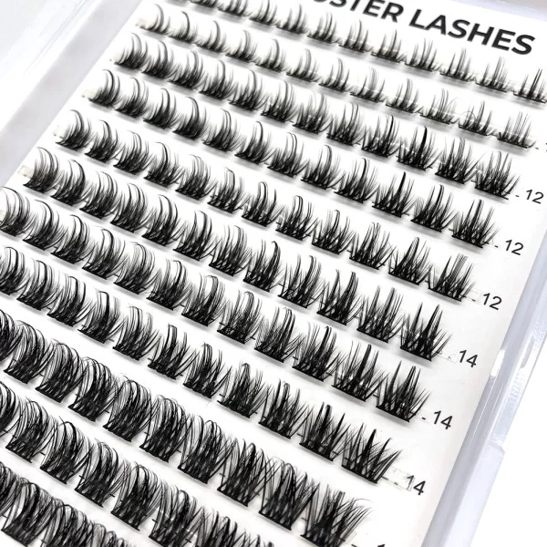lash clusters